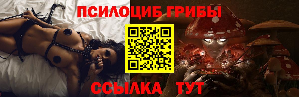 купить закладку  Псилоцибиновые грибы GOLDEN TEACHER  Вход с VPN  Аксай  Галлюциногенные грибы мицелий 